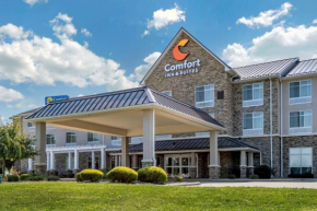 Отель Comfort Inn & Suites  Довер